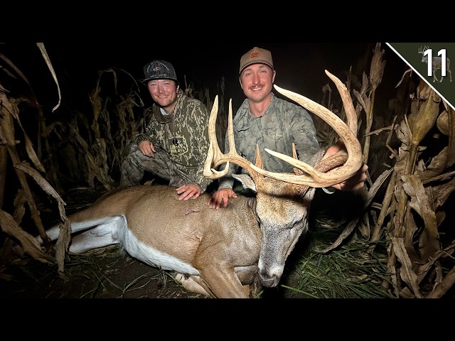 Bow Hunting Bucks in Standing Corn!!! - (Early Season Deer Hunt)