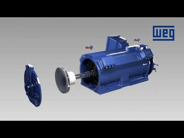 WEG Water Jacket Cooled Motors - WGM Line