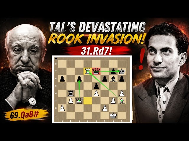 TAL DESTROYS NAJDORF! The Brutal Attack That Ended in Checkmate