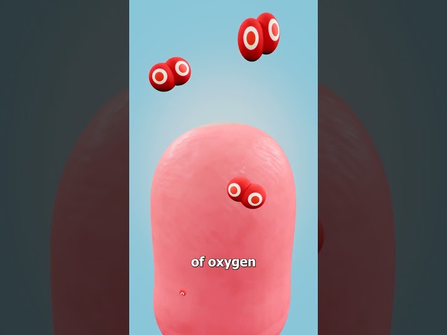 Can A Zip Tie Cut Off Your Finger? 😨