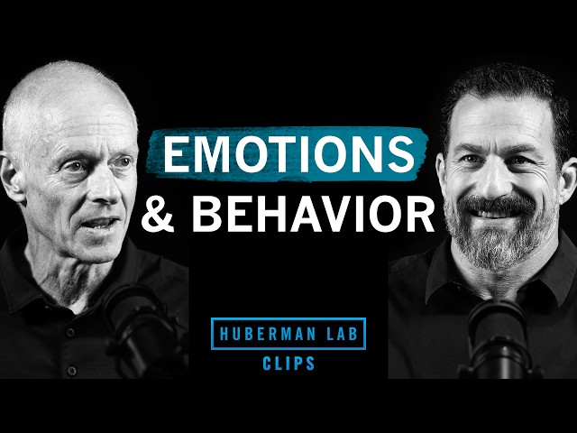 How Emotions Take Over Your Behavior | Dr. Ralph Adolphs & Dr. Andrew Huberman