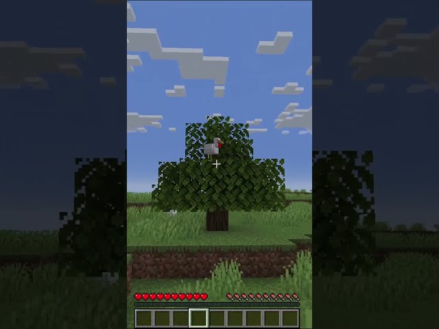 Como criar uma GALINHA GRITANTE no Minecraft! 🐔🌲