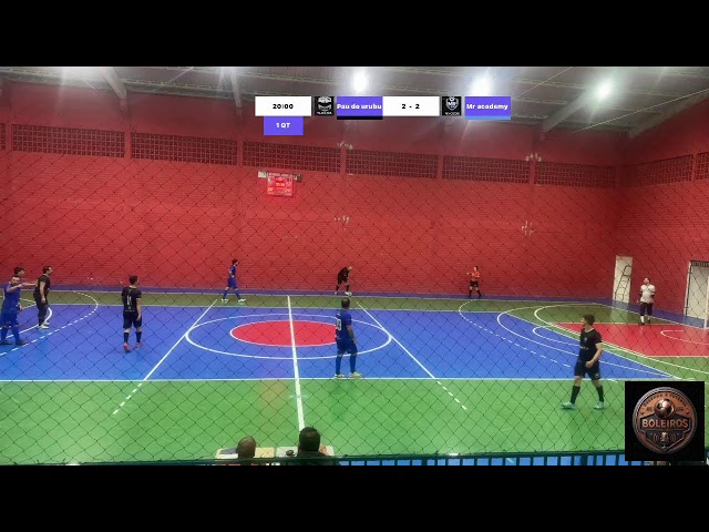 .. Pau do urubu  VS Mr academy
