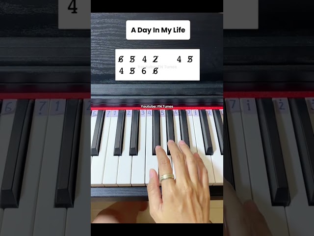 A Day In My Life #tutorial #adayinmylife