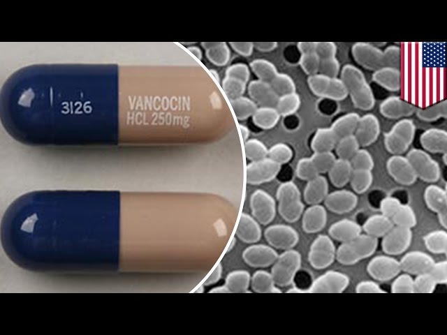 Antibiotic resistance bacteria VRE killed by modified antibiotic vancomycin - TomoNews