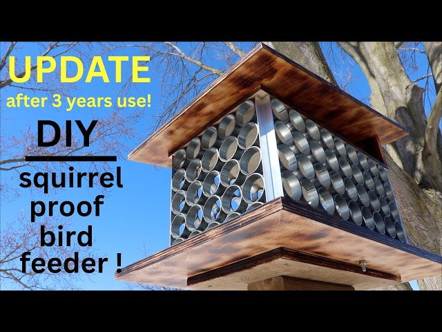 UPDATE after 3 years use ● DIY Squirrel Proof Bird Feeder