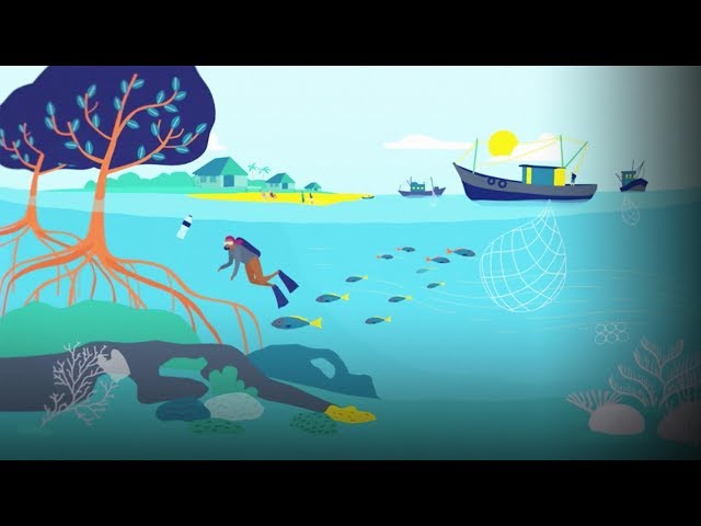 An ingenious proposal for scaling up marine protection | The Nature Conservancy