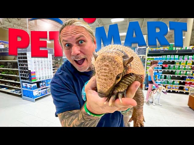 TAKING MY ARMADILLO TO PETSMART!! | BRIAN BARCZYK
