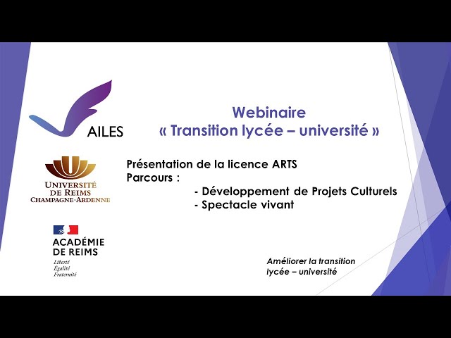 Presentation of the Arts degree, Performing Arts track: development of cultural projects