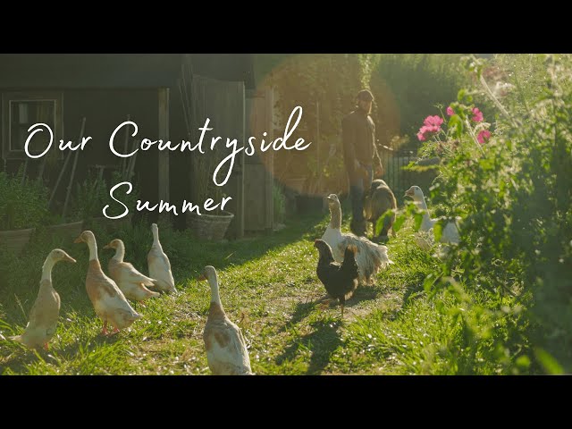 A Calm Summer Day on the Farm | Pergola Project & Lavender Harvest