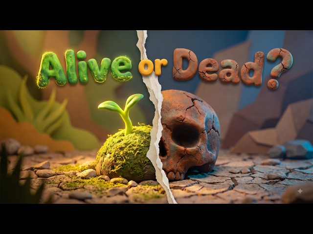 What Actually Is Life?  Is Fire Alive?