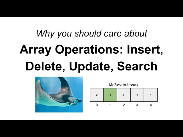 Why care about Array Operations (Insert, Delete, Update, Search)?
