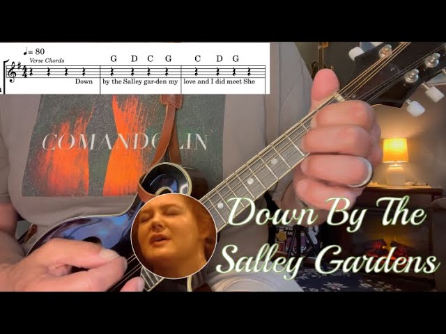 Celtic Mandolin, “Down By The Salley Gardens” Mandolin Tutorial and Deep Dive.