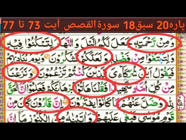 Parah 20 Lesson 18|Surah Qasas ayyt 73to77|Quran Lfaz ba Lafaz Tajveed k sath seekhyn wo bhi ghr byt