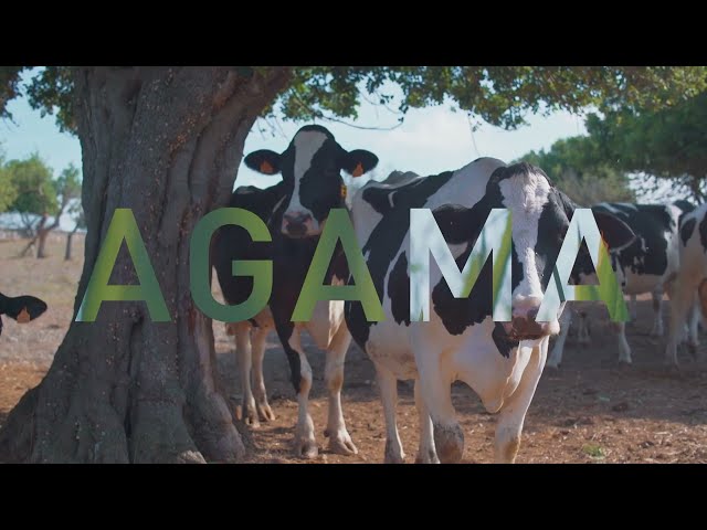 AGAMA, ses nostres granges, sa nostra llet.