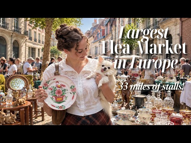 The Biggest Flea Market in France Is INSANE 🇫🇷 | Braderie de Lille | Market Haul
