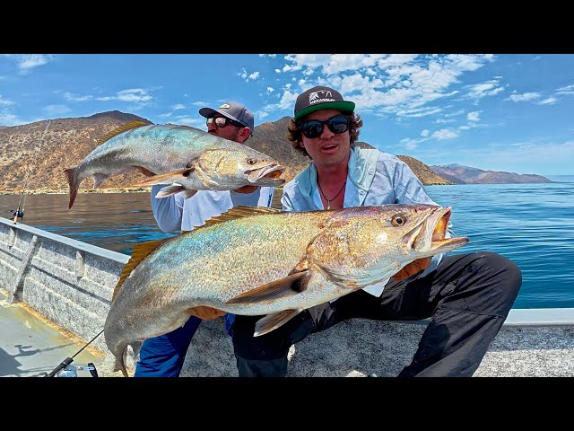 Trip to a Deserted Island to Catch this TROPHY! (Giant Corvina or White Sea Bass)