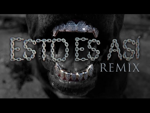 Louis BPM, Hades 66, JC Reyes, Junior Caldera, Hanzel La H, Prieto Gang - This Is How It Is (Offi...