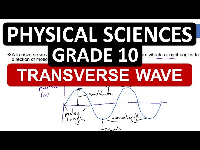 TRANSVERSE WAVES: GRADE 10 PHYSICAL SCIENCES P.1 THUNDEREDUC