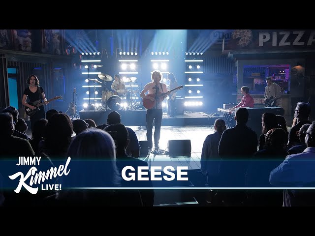 Geese – Taxes