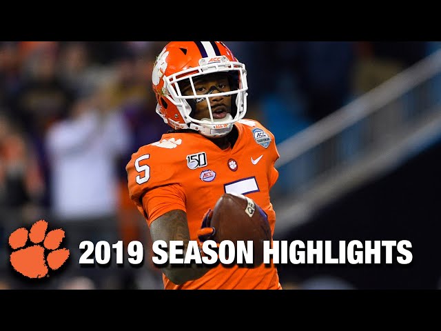 Tee Higgins 2019 Season Highlights | Clemson WR