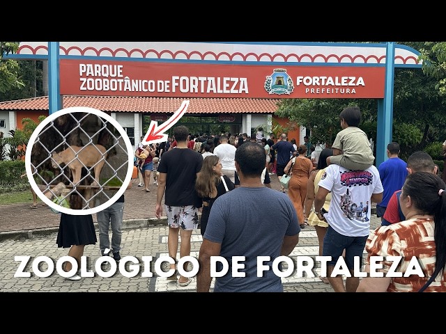 Fortaleza Zoo 2026: Is it worth visiting? (Full Tour & Tips!)