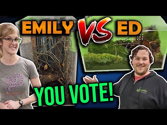 We Build EPIC Tarantula Enclosures!