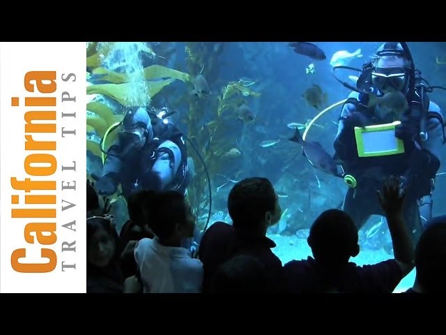 California Science Center | Los Angeles Travel Guide | California Travel Tips