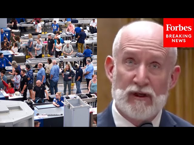 'You Don't Have To Believe In A Deep State Cabal...': Witness Sounds The Alarm On TSA Surveillance