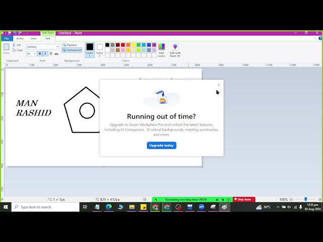 Class 48 Using Reference as variable as parameter in C Plus Plus