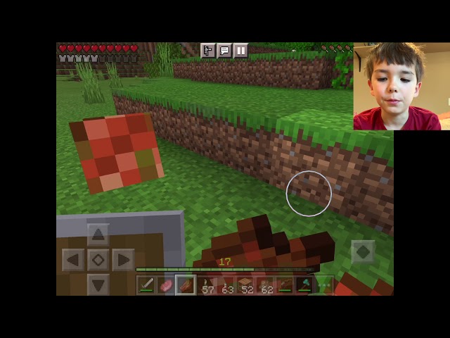 Minecraft Tips and Tricks for Beginners