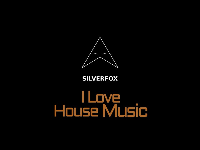 Silverfox -  I love house music