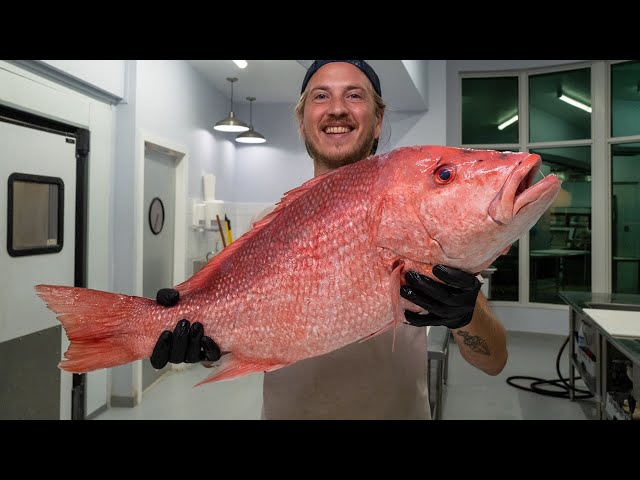 America's Most Popular Fish