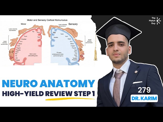 Step 1 Neuro Anatomy USMLE High-Yield Review