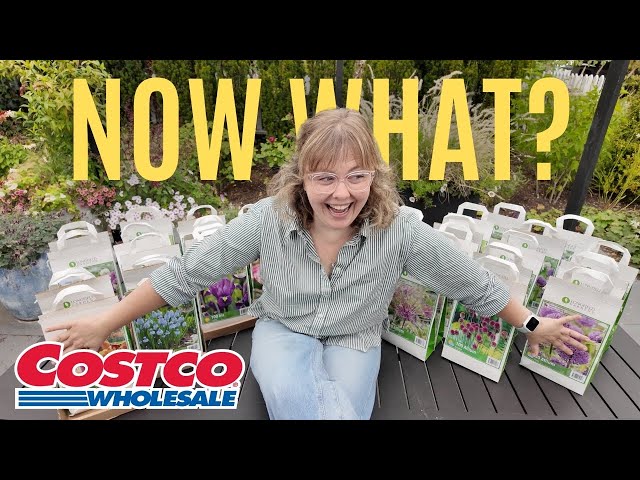 Costco Bulb Survival Guide 🌷| Bought Bulbs… Now What?