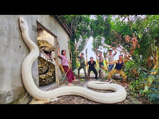 Brave Expert Discovers Nest of Giant White Python in Abandoned House