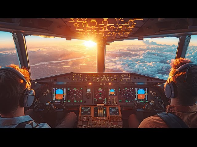 Copilot integration with Microsoft Apps (Excel and Word) - Demo