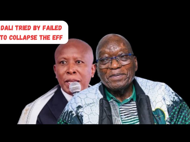 Julius Malema Details how he rescued EFF from MK Party led by Jacob Zuma and Dali Mpofu 