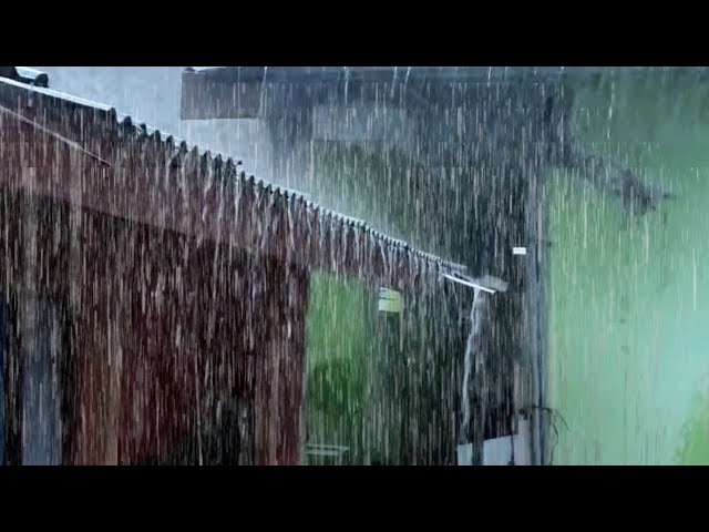 Fall Asleep Immediately in 3 Minutes with Torrential Rain on Tin Roof of Farmhouse
