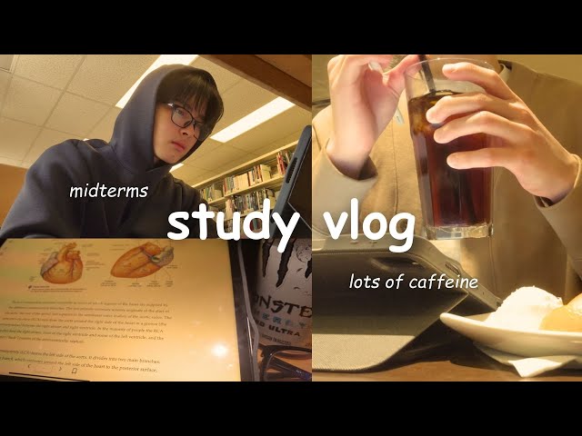 study vlog | productive late nights, uni life, more midterms