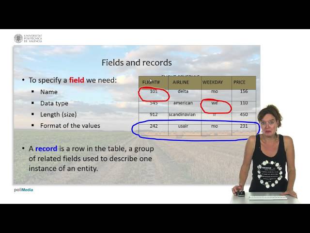 Databases, Files and Datawarehousing: Databases basic concepts |  | UPV