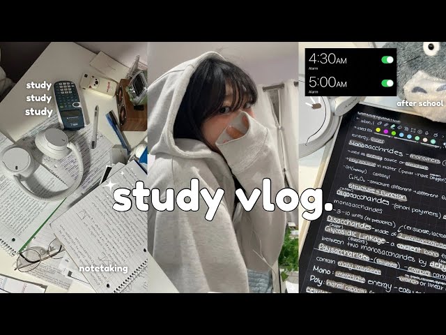 STUDY VLOG : 4:30 AM wake up, PRODUCTIVE early morning studying, exam study, study motivation