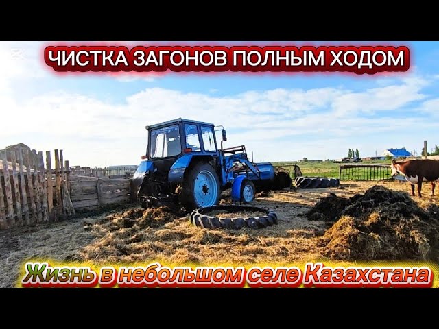 Деревня без выходных:регулируем сцепление; чистим загоны; трава растёт быстрее картошки.