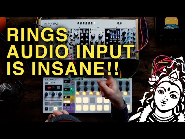Mutable Instruments Rings is still one of the BEST modules!! PART 2