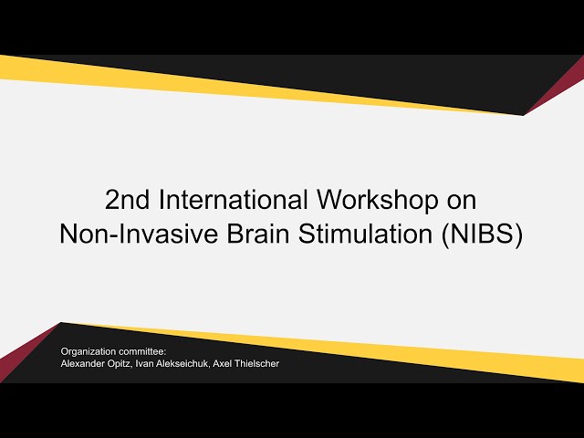 Wrap-up and summary of the NIBS workshop 2021 / Axel Thielscher