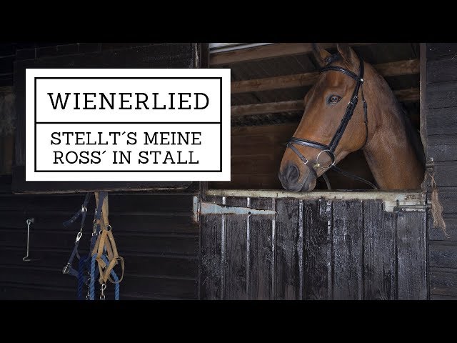 16er Buam / Stellt´s meine Ross´ in Stall / Wienerlied