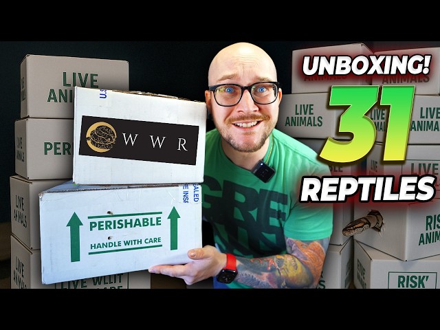 Unboxing 31 NEW Reptiles I've Never Had Before! These Snakes are Insane!