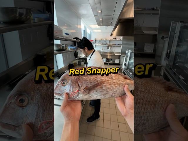 Red Snapper Gourmet 3 Ways🐟✨