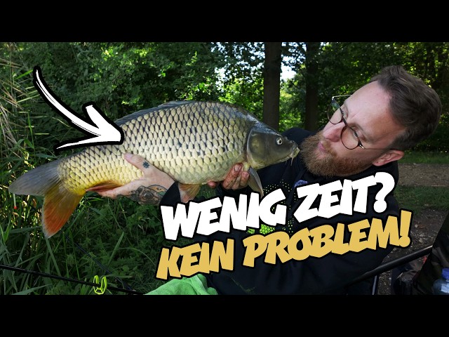 Früh Aufstehen lohnt sich! Dicke Karpfen mit dem Method Feeder
