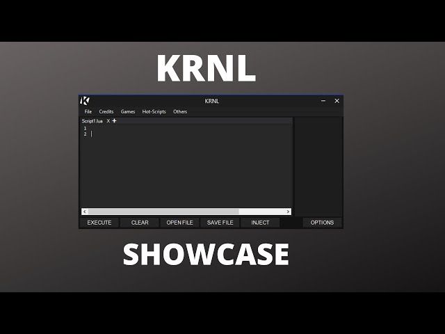 Krnl Showcase l level 6 Executor I